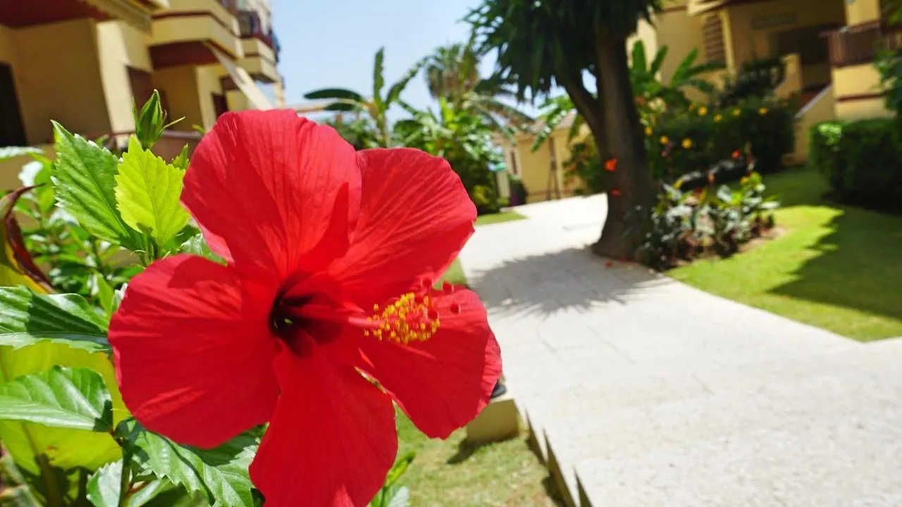 Boutique 1St Beach Line Apartment - Lubina Del Sol Sitio de Calahonda